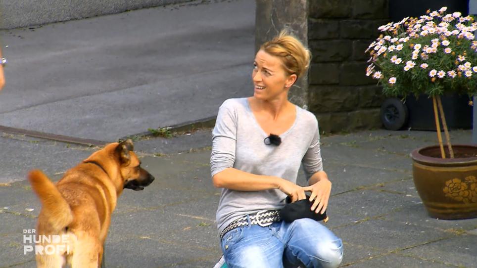 Leo hat den Bogen draußen schnell raus Leo hat den Bogen draußen schnell raus