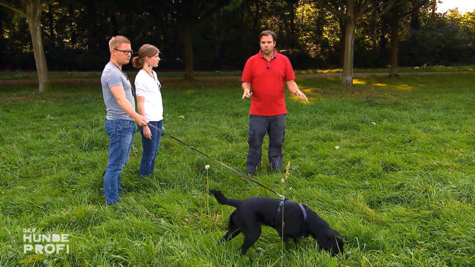 Das Flöten-Training mit Leine klappt gut Das Flöten-Training mit Leine klappt gut