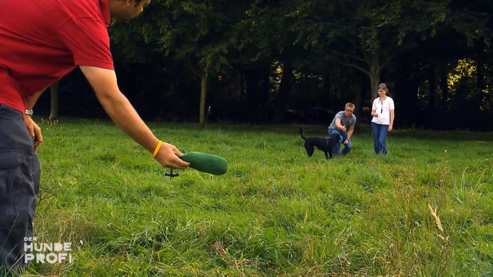 Klappt das Reiztraining bei Lotta auch so gut? Klappt das Reiztraining bei Lotta auch so gut?