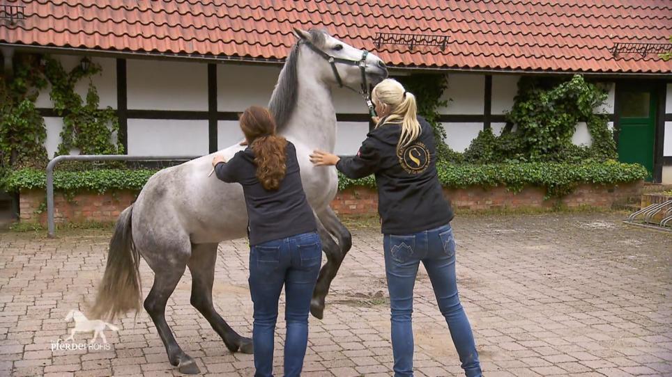 Besuch bei der Physiotherapeutin Besuch bei der Physiotherapeutin