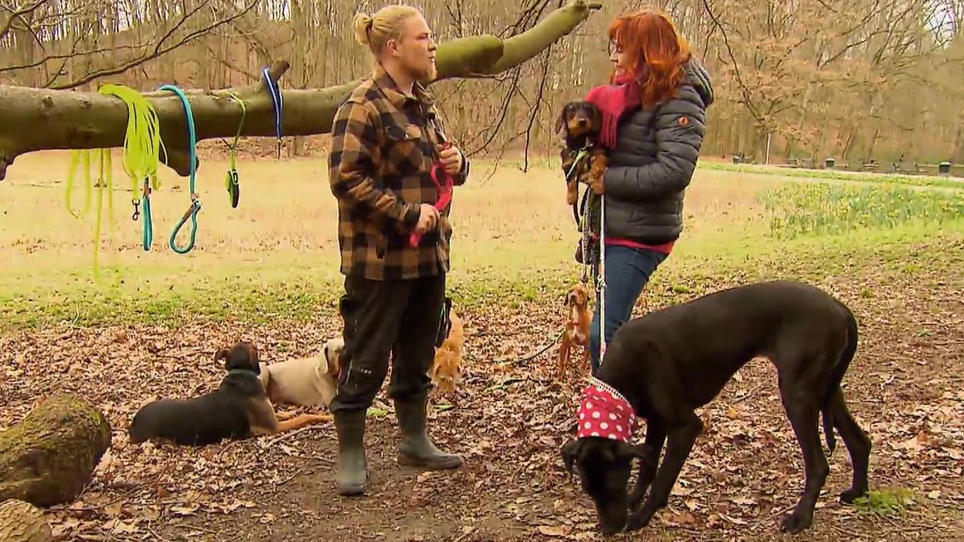 Diana Eichhorn bekommt Tipps, welches die beste Leine ist Diana Eichhorn bekommt Tipps, welches die beste Leine ist