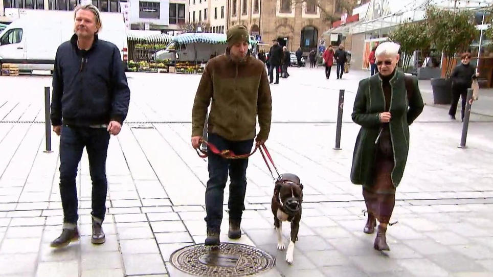 Frank Weber begleitet Hund und Halter bei den Prüfungen Frank Weber begleitet Hund und Halter bei den Prüfungen