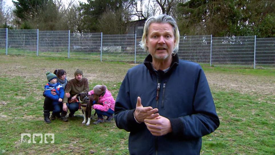 Ben macht beim Wesenstest einen guten Eindruck Ben macht beim Wesenstest einen guten Eindruck