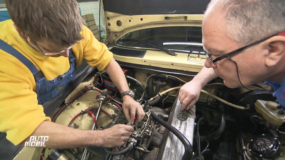Liegt das Problem im Vargaser? Liegt das Problem im Vargaser?