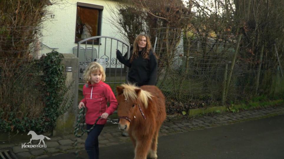 Luna ist ein braves Shetty geworden Luna ist ein braves Shetty geworden