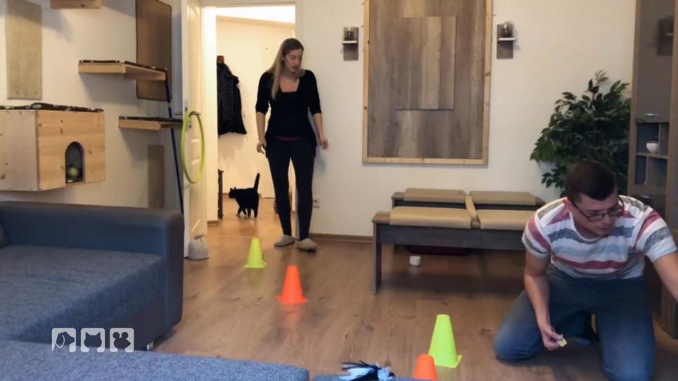 Muffin & Bumblebbe haben sich wieder versöhnt Muffin & Bumblebbe haben sich wieder versöhnt