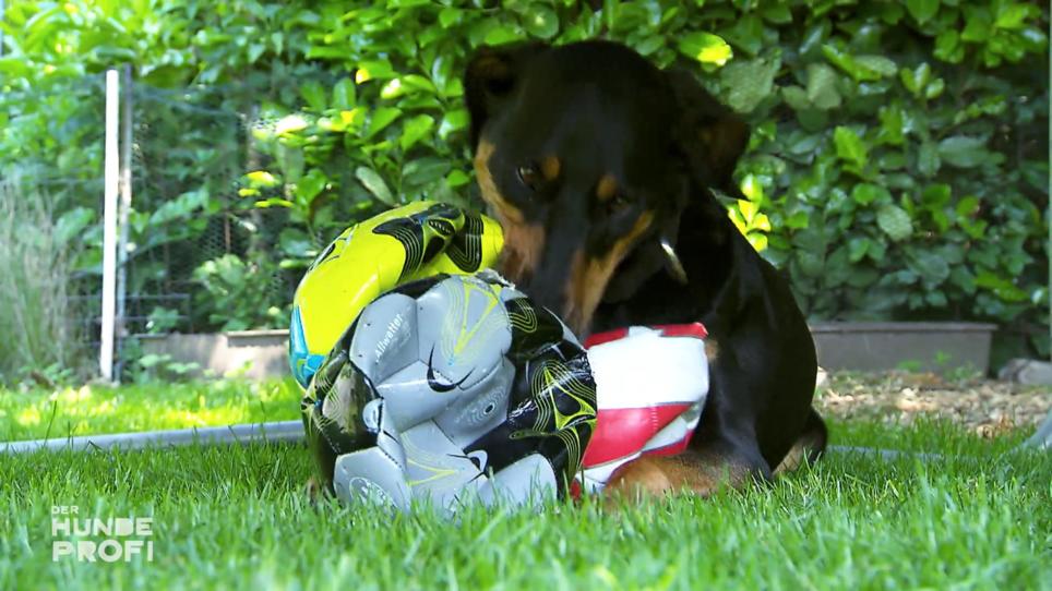 Was wenn der Ball unangenehm wird? Was wenn der Ball unangenehm wird?