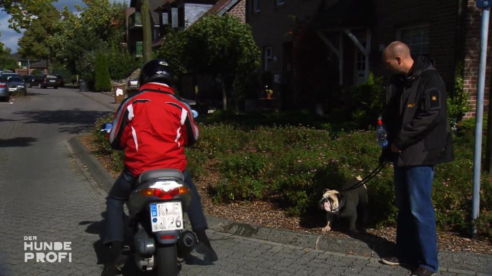 Tequila jagt Mopeds nicht mehr sofort Tequila jagt Mopeds nicht mehr sofort