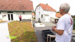 "Du hast dich verrechnet!" "Du hast dich verrechnet!"
