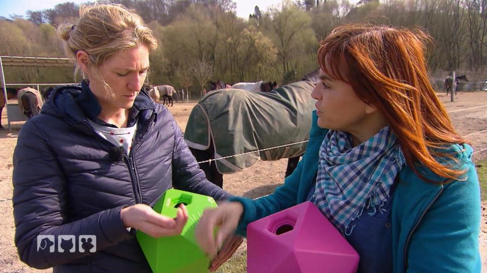 Diana Eichhorn testet Spielzeug für Pferde Diana Eichhorn testet Spielzeug für Pferde