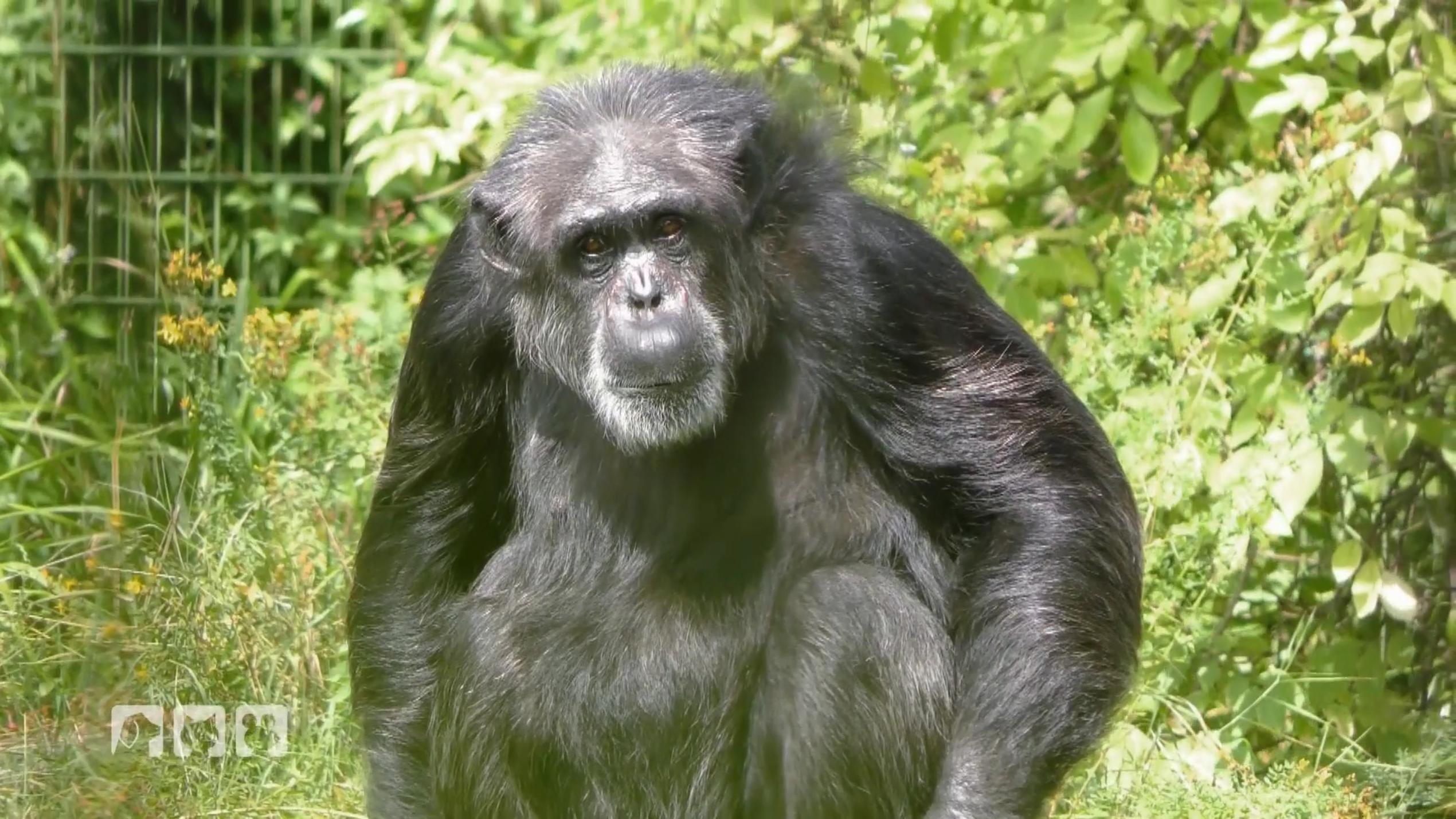 Die Tiere vermissen ihre Stammbesucher Die Tiere vermissen ihre Stammbesucher