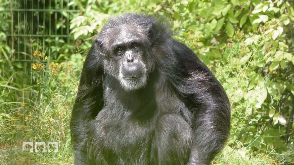 Die Tiere vermissen ihre Stammbesucher Die Tiere vermissen ihre Stammbesucher