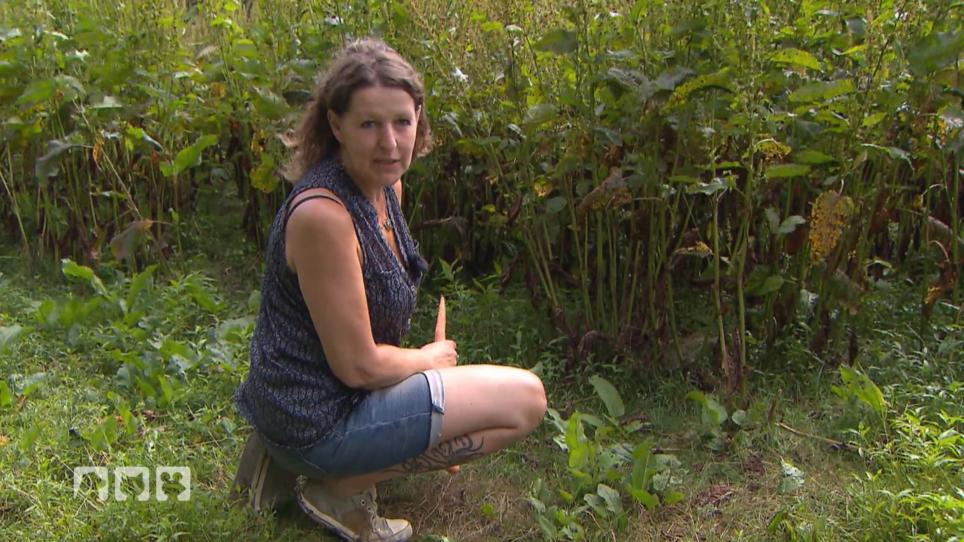 Diana Fußbroich sucht ihr Känguru Diana Fußbroich sucht ihr Känguru