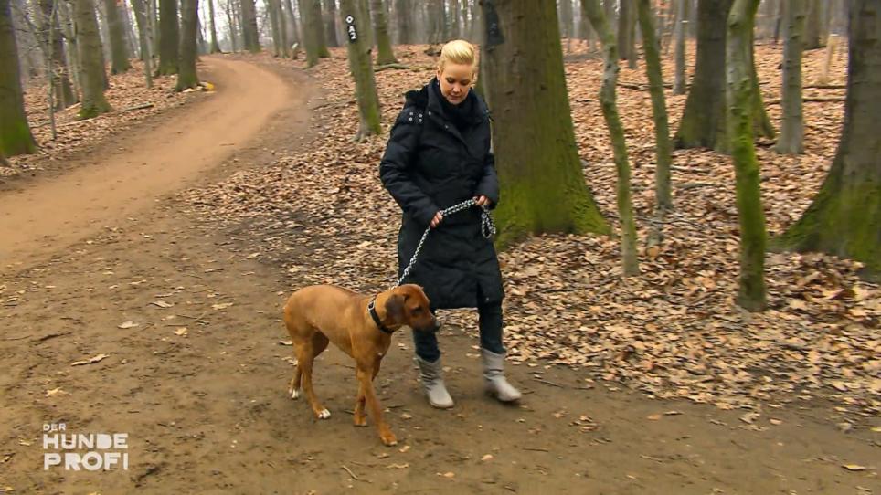 Nia frisst Kot und Mona hat angeblich eine Art Autismus Nia frisst Kot und Mona hat angeblich eine Art Autismus