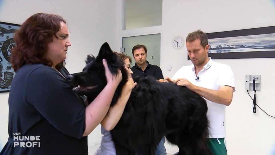 Beim Tierarzt soll Mona durchgecheckt werden Beim Tierarzt soll Mona durchgecheckt werden