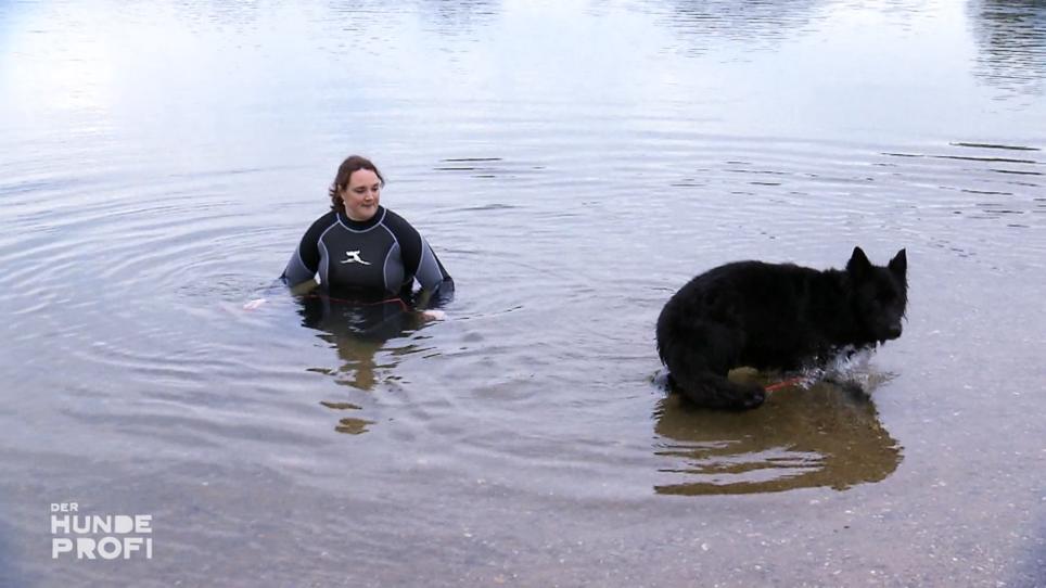 Maren geht für die Physiotherapie mit Mona ins Wasser Maren geht für die Physiotherapie mit Mona ins Wasser