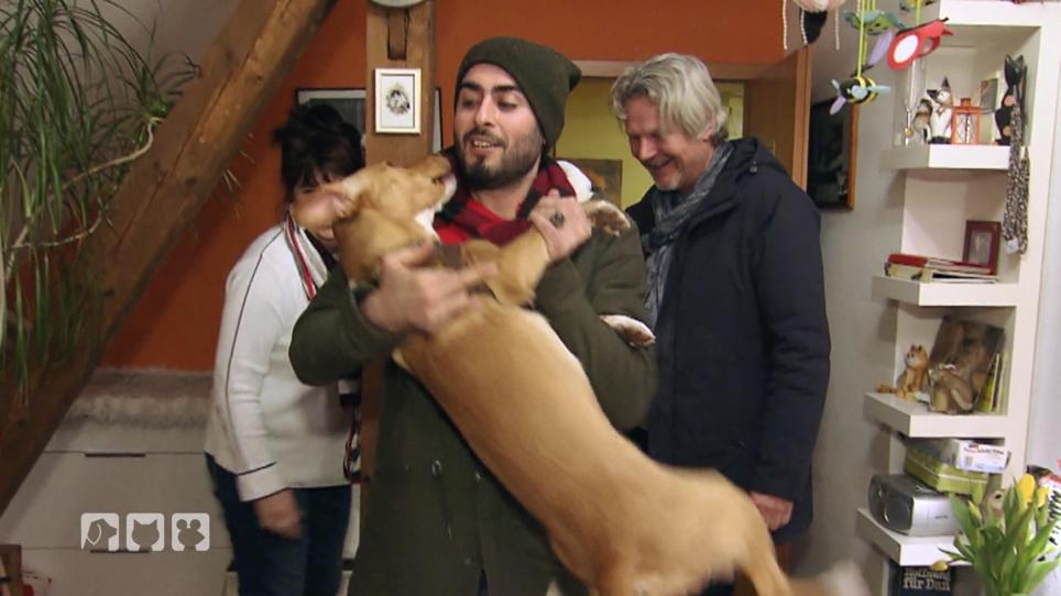 Aros und Lily sind wieder glücklich vereint Aros und Lily sind wieder glücklich vereint