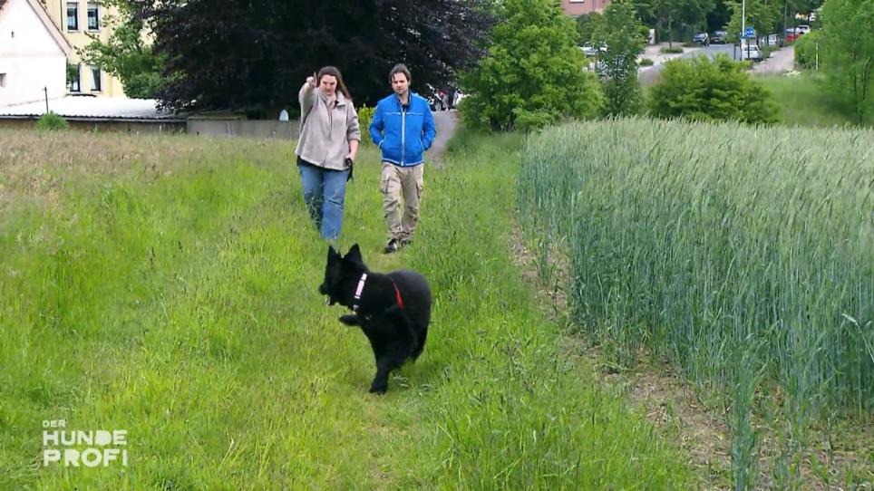 Maren & Mona haben es mit Martin Rütters Hilfe geschafft Maren & Mona haben es mit Martin Rütters Hilfe geschafft