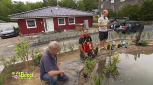 Die Wasserpflanzen kommen in den Teich Die Wasserpflanzen kommen in den Teich