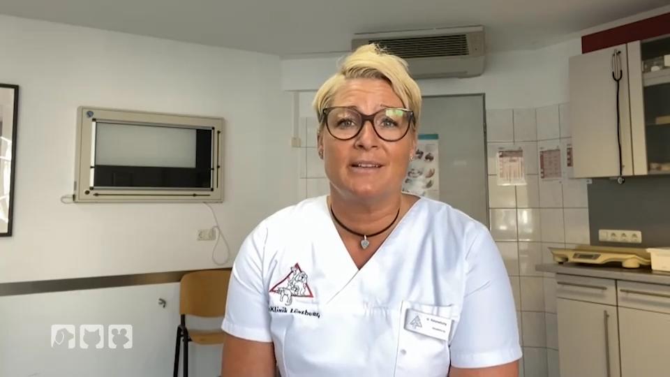 Von einem normalen Alltag ist die Tierklinik weit entfernt Von einem normalen Alltag ist die Tierklinik weit entfernt