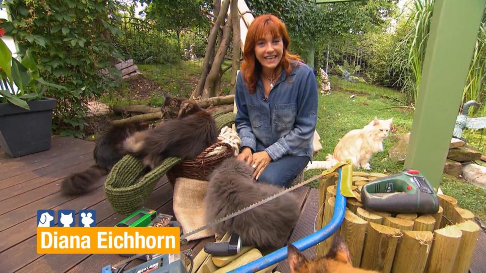 Diana Eichhorn baut ein Katzenfreigehege Diana Eichhorn baut ein Katzenfreigehege