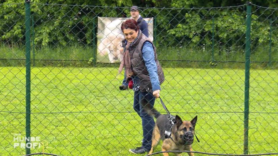 Wie ist Martin Rütters erster Eindruck von Duc? Wie ist Martin Rütters erster Eindruck von Duc?