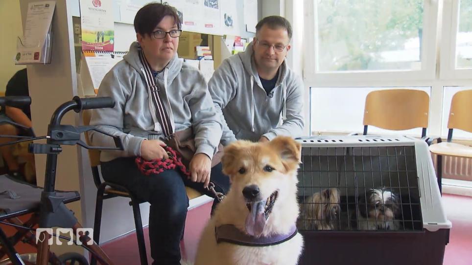 Püppi, Emma und Ben müssen geimpft werden Püppi, Emma und Ben müssen geimpft werden