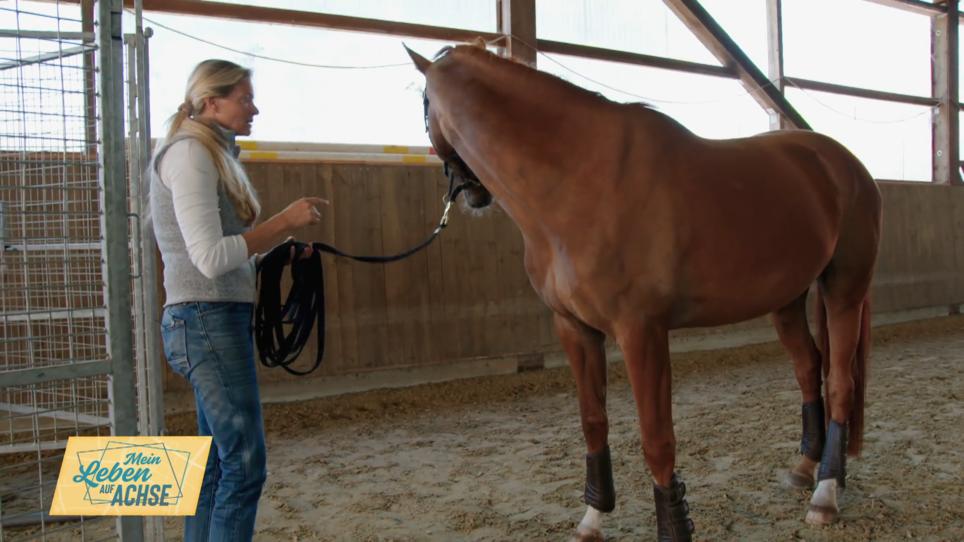 Lena und Ruby bekommen von Andrea Übungsaufgaben Lena und Ruby bekommen von Andrea Übungsaufgaben
