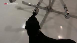 Hunde können Leben retten Hunde können Leben retten