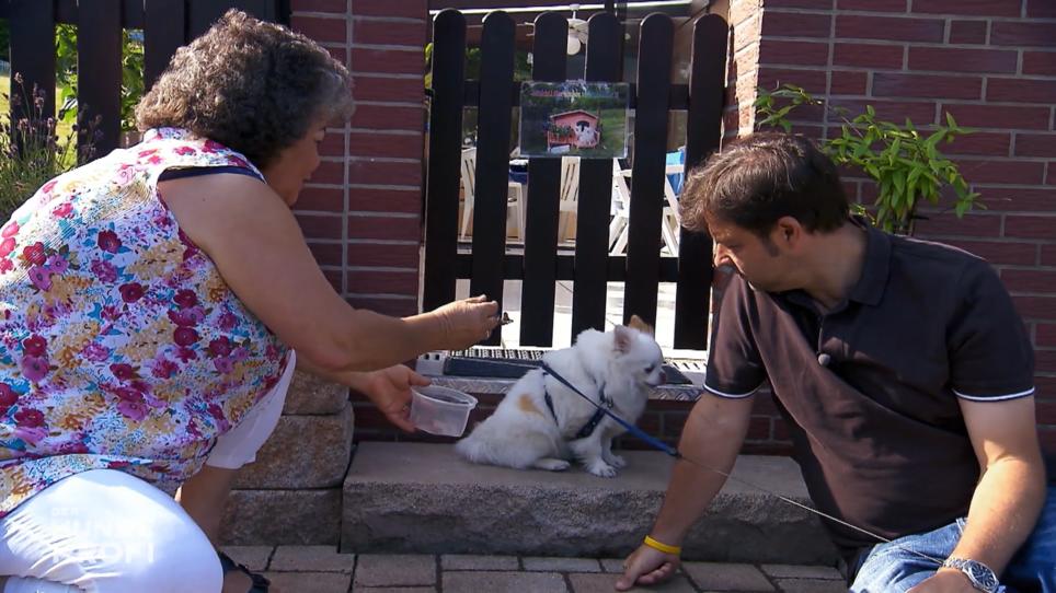 Tritt Hund Joël in den Hungerstreik? Tritt Hund Joël in den Hungerstreik?