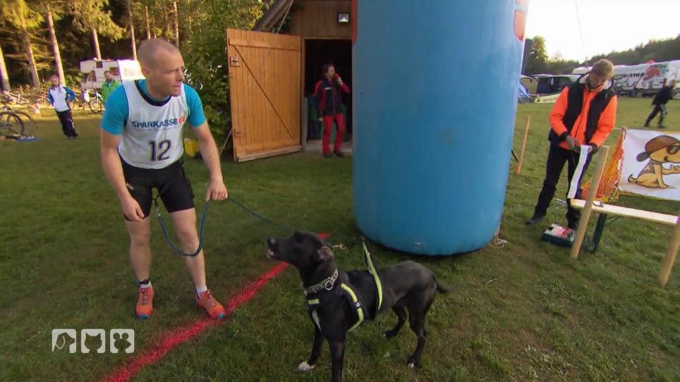 Endspurt - Wer gewinnt den Irondog? Endspurt - Wer gewinnt den Irondog?