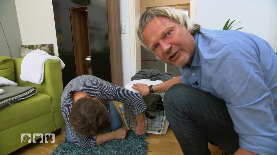 Frank Weber startet eine große Einfangaktion Frank Weber startet eine große Einfangaktion
