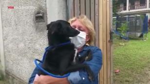 Tausche Zuhause gegen Liebe Tausche Zuhause gegen Liebe