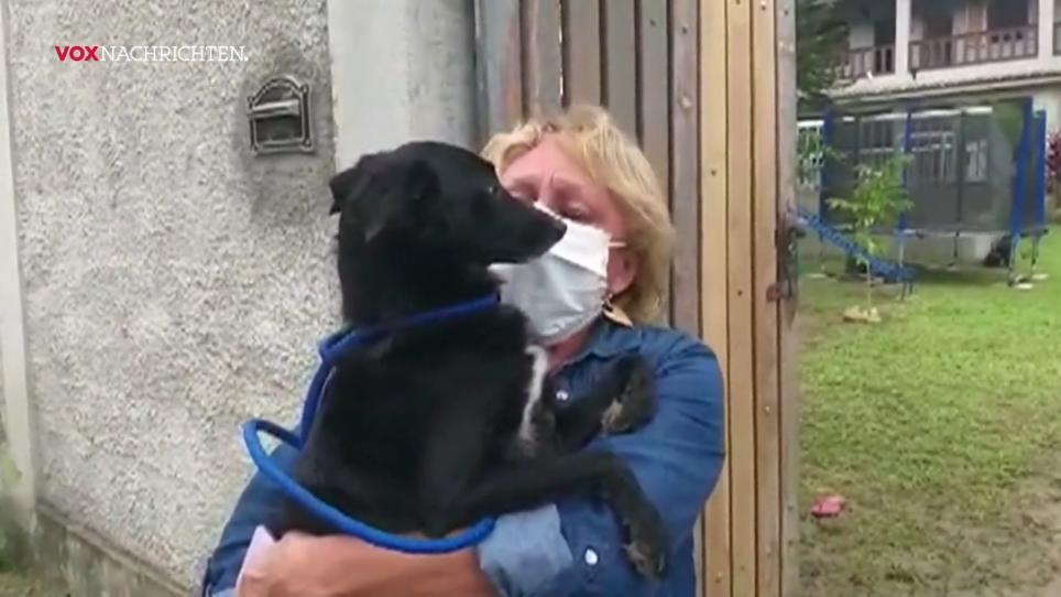 Tausche Zuhause gegen Liebe Tausche Zuhause gegen Liebe