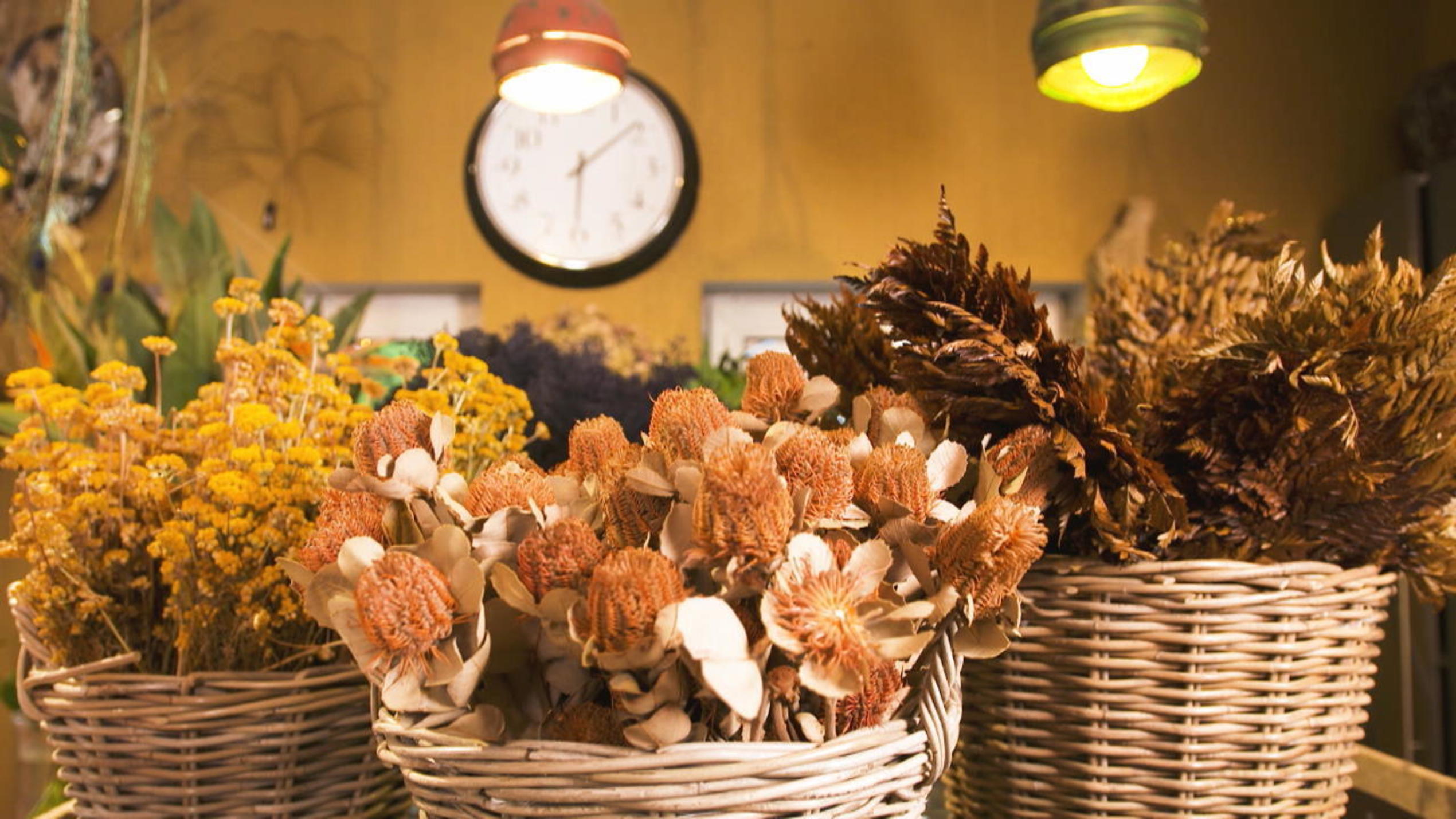 Trockenblumen selbst machen Trockenblumen selbst machen
