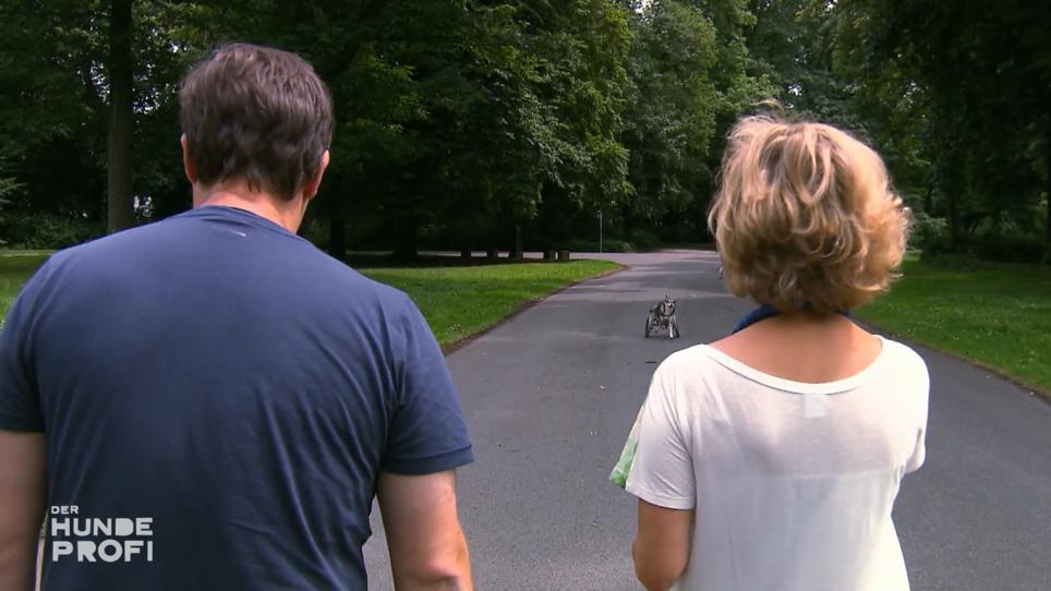 Attila und Doris haben ihr Ziel vorerst erreicht Attila und Doris haben ihr Ziel vorerst erreicht