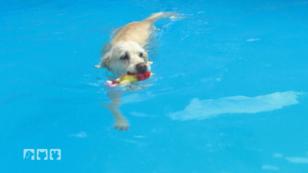 Endlich Sommer! Endlich Sommer!
