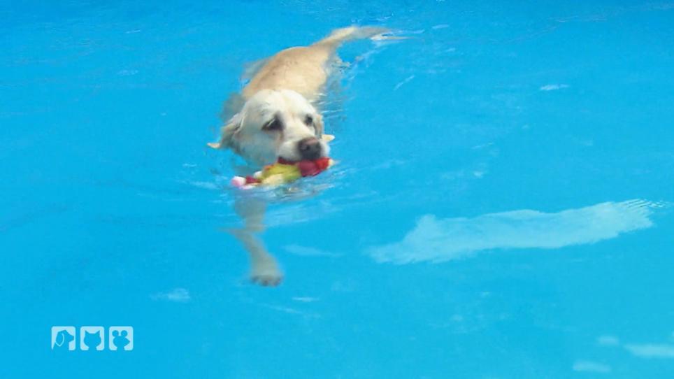 Endlich Sommer! Endlich Sommer!
