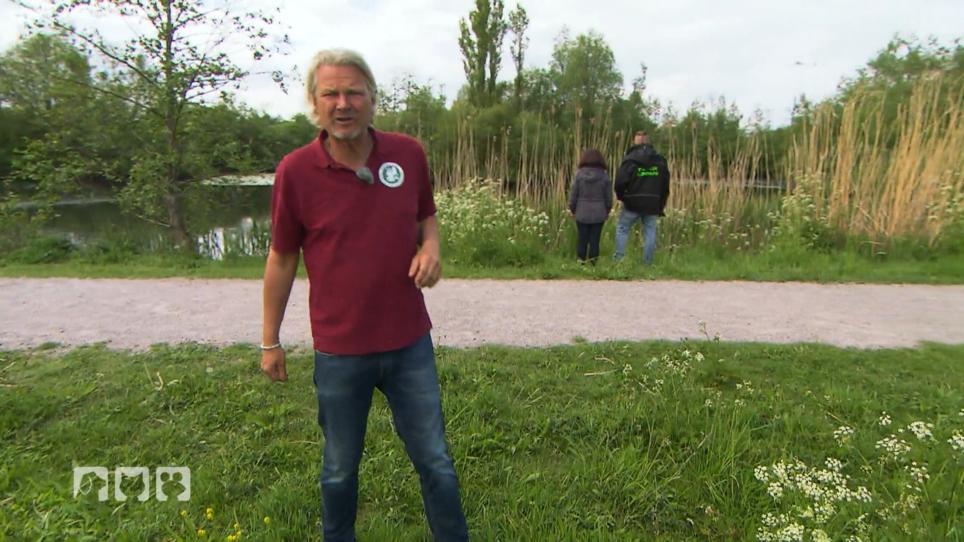 Eine Ente mit Pfeil im Kopf Eine Ente mit Pfeil im Kopf