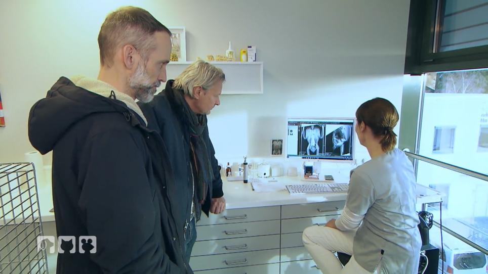 Papagei Freddy wird auf Herz und Nieren geprüft Papagei Freddy wird auf Herz und Nieren geprüft