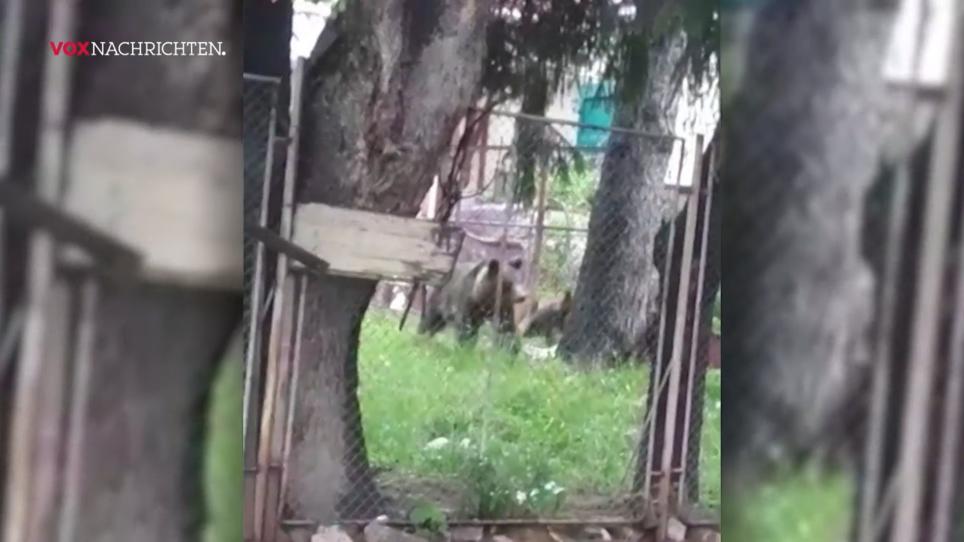 Hallo Herr Nachbär! Hallo Herr Nachbär!