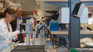 Bluttest erkennt Alzheimer Bluttest erkennt Alzheimer