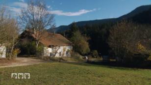 Ein Bewacher wird gesucht Ein Bewacher wird gesucht