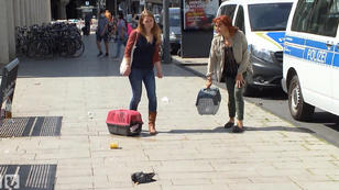 Verhasste Stadttauben und Harte Hunde Verhasste Stadttauben und Harte Hunde