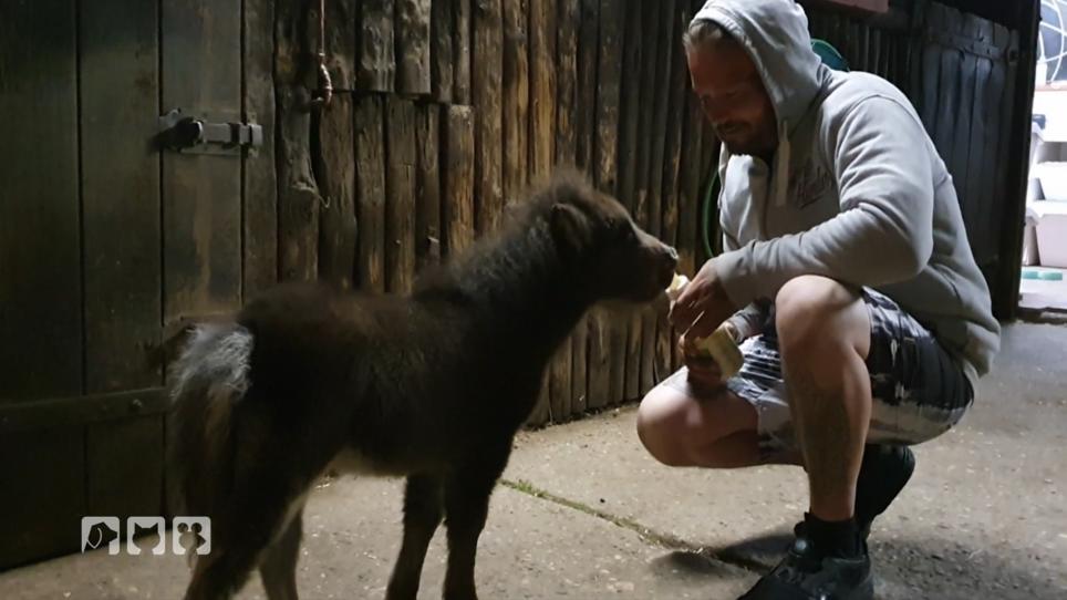 Stevie übernimmt die nächtliche Fütterung Stevie übernimmt die nächtliche Fütterung