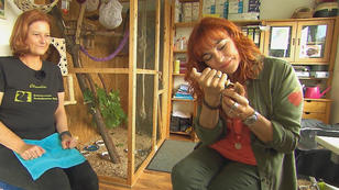 Diana Eichhorn und die Eichhörnchen Diana Eichhorn und die Eichhörnchen
