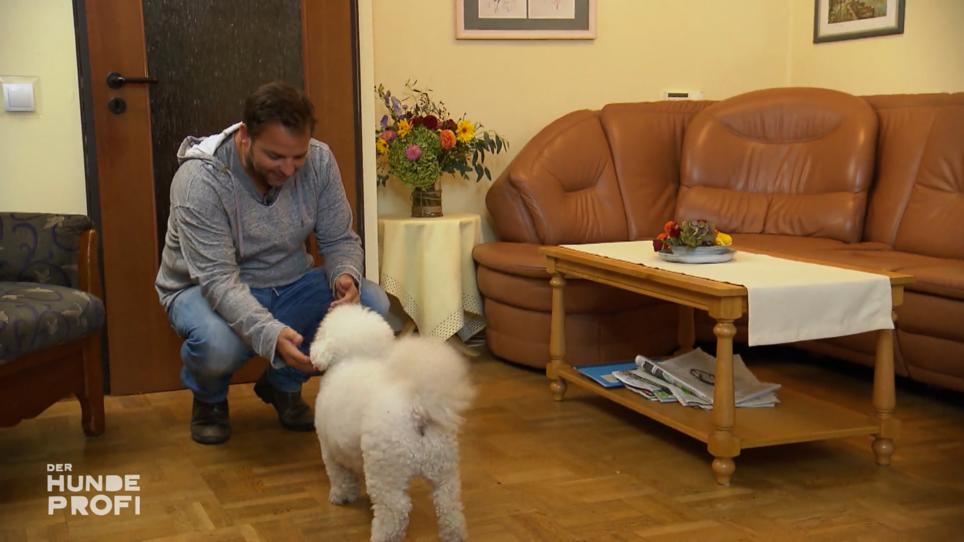 Filou geht es bei Annas Eltern deutlich besser Filou geht es bei Annas Eltern deutlich besser
