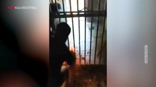 Rettung für Zootiere Rettung für Zootiere