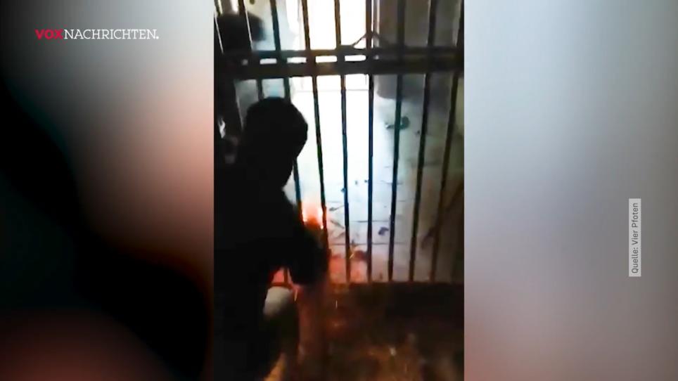Rettung für Zootiere Rettung für Zootiere