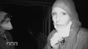 Furchtbare Zustände in den Kastenständen Furchtbare Zustände in den Kastenständen